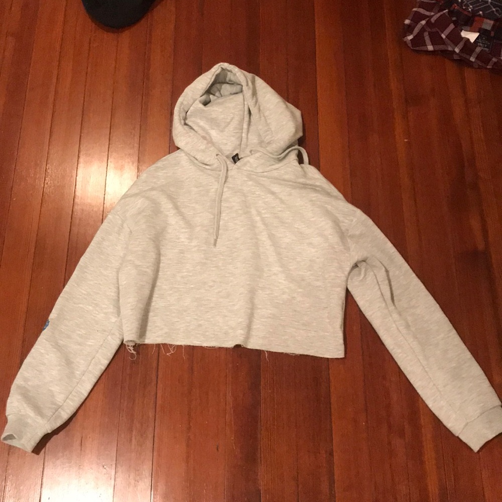 H&M Light Gray Embroidered Cropped Hooded Top